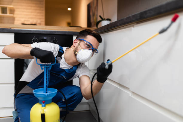 Pest Control Cost in Flemington, NJ