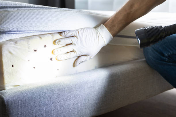 Best Affordable Pest Control Services  in Flemington, NJ