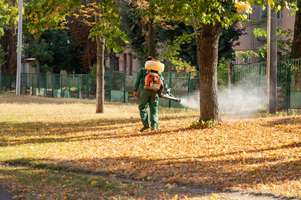 Best Pest Control Near Me in Flemington, NJ