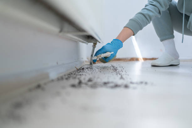 Best Emergency Pest Control  in Flemington, NJ